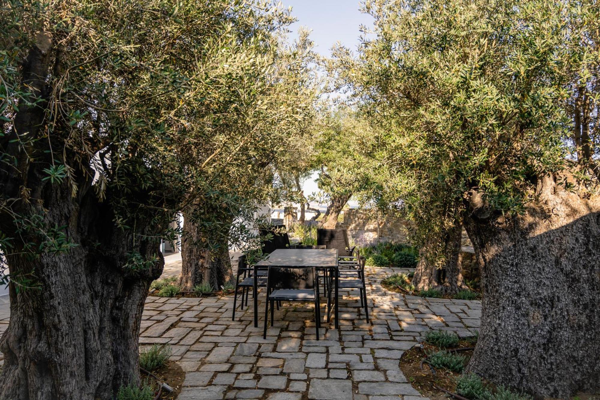 Rochari Hotel Mykonos Town Exterior photo